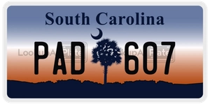 PAD607 license plate in South Carolina