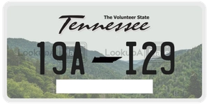 19AI29 license plate in Tennessee