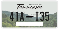 41AI35  license plate in TN