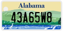 43A65W8  license plate in AL