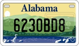 6230BD8 license plate in Alabama