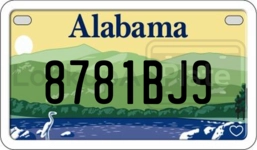 8781BJ9 license plate in Alabama