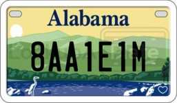 8AA1E1M license plate in Alabama