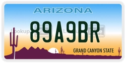 89A9BR  license plate in AZ