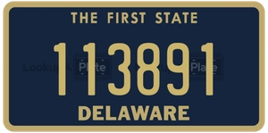 113891 license plate in Delaware
