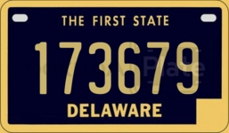 173679 license plate in Delaware