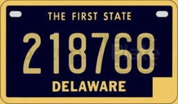 218768 license plate in Delaware