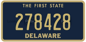278428 license plate in Delaware