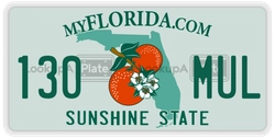 130MUL  license plate in FL