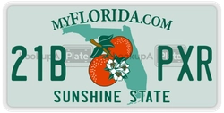 21BPXR  license plate in FL