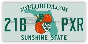 21BPXR license plate in Florida