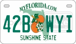 42BWYI license plate in Florida