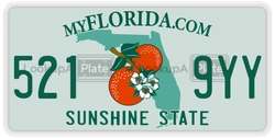 5219YY  license plate in FL