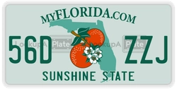 56DZZJ  license plate in FL