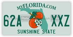 62AXXZ  license plate in FL