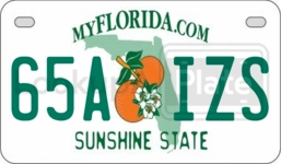 65AIZS license plate in Florida