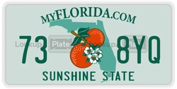 738YQ  license plate in FL