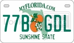 77BGDL license plate in Florida