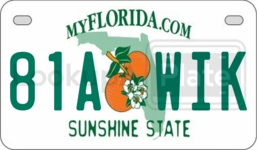 81AWIK license plate in Florida