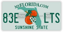 83ELTS  license plate in FL