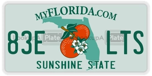 83ELTS license plate in Florida