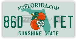 86DFET  license plate in FL