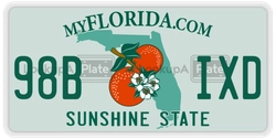 98BIXD  license plate in FL