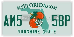 AM55BP  license plate in FL