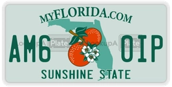 AM60IP  license plate in FL