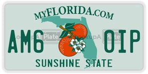 AM60IP license plate in Florida