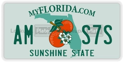 AMS7S  license plate in FL