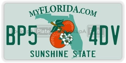 BP54DV  license plate in FL