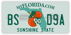 BSD9A  license plate in FL