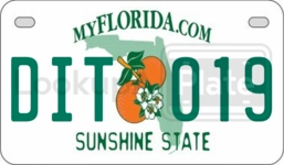 DIT0196 license plate in Florida