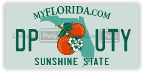 DPUTY license plate in Florida