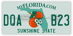 DQAB23  license plate in FL