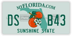 DSB43  license plate in FL