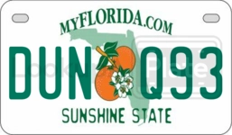 DUNQ93 license plate in Florida