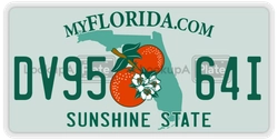 DV9564I  license plate in FL
