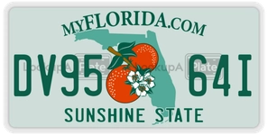 DV9564I license plate in Florida