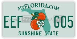 EEFG05  license plate in FL