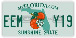 EEMY19  license plate in FL