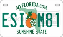 ESIM81 license plate in Florida