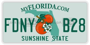 FDNYB28 license plate in Florida