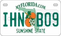 IHNB09 license plate in Florida