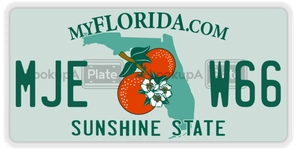 MJEW66 license plate in Florida