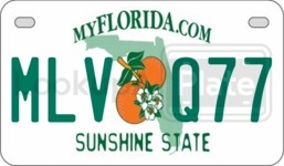MLVQ77 license plate in Florida