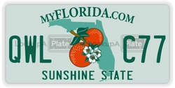 QWLC77  license plate in FL