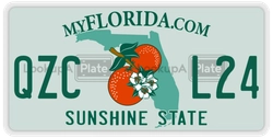 QZCL24  license plate in FL