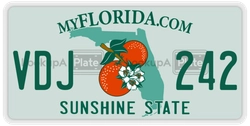 VDJ242  license plate in FL